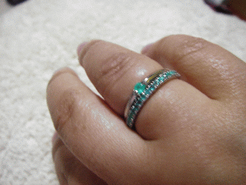 IMGP0905.gif