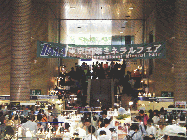 IMGP0934.gif