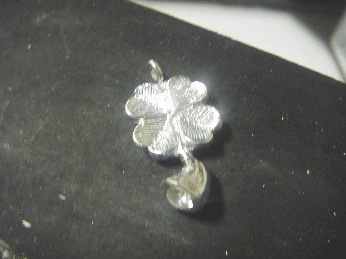 IMGP1168.gif