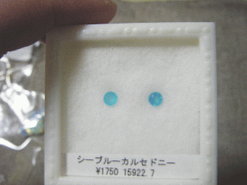 IMGP1188.gif